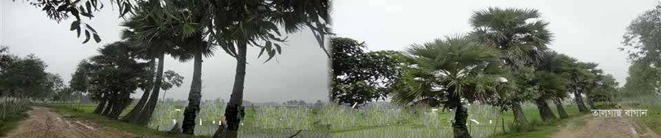 ছবি